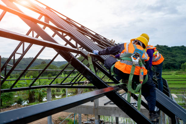 Best Roof Gutter Cleaning  in Wenonah, NJ